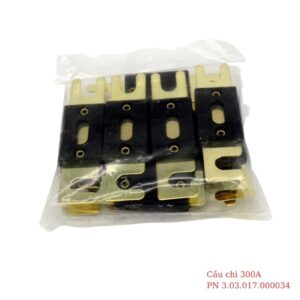 Cầu chì 300A PN 3.03.017.000034